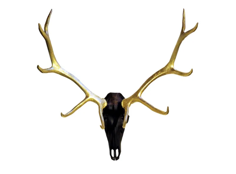 Elk Horn/Skull, Gold Leaf/Dye 35" PU017AA
