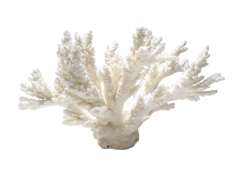 Branch Coral 17x11x16h T879