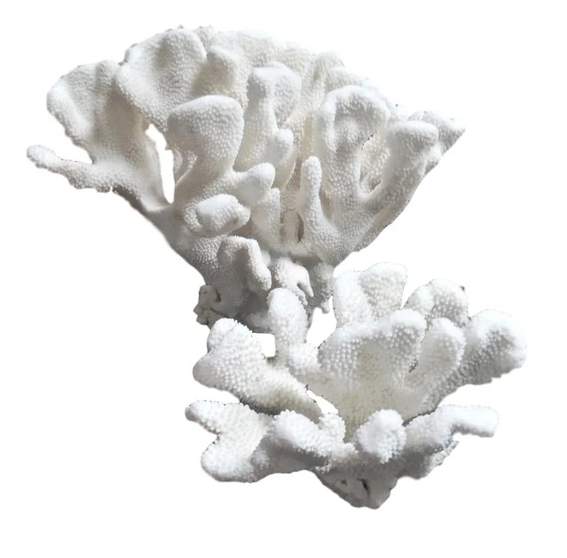 Cauliflower Coral 20x13x15h T904 12x9x8h T903