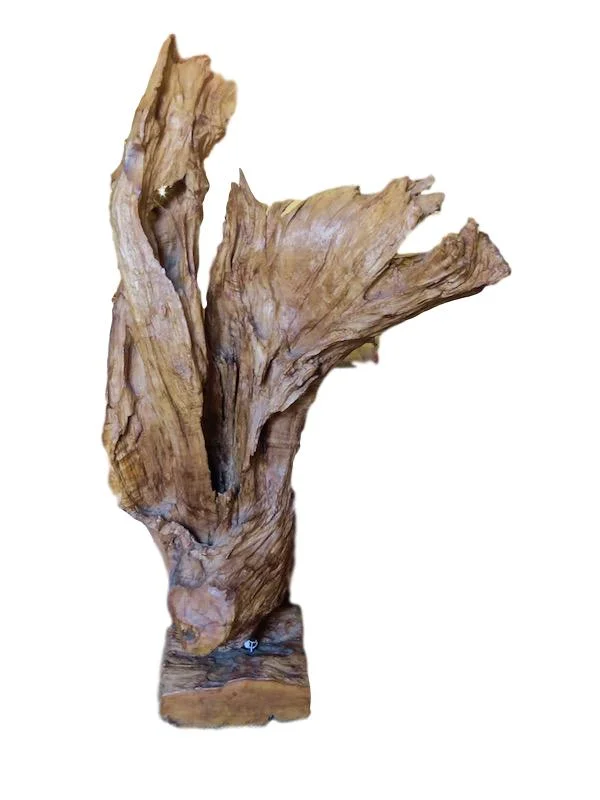 Teak Root on Stand 12x29x52h QI027