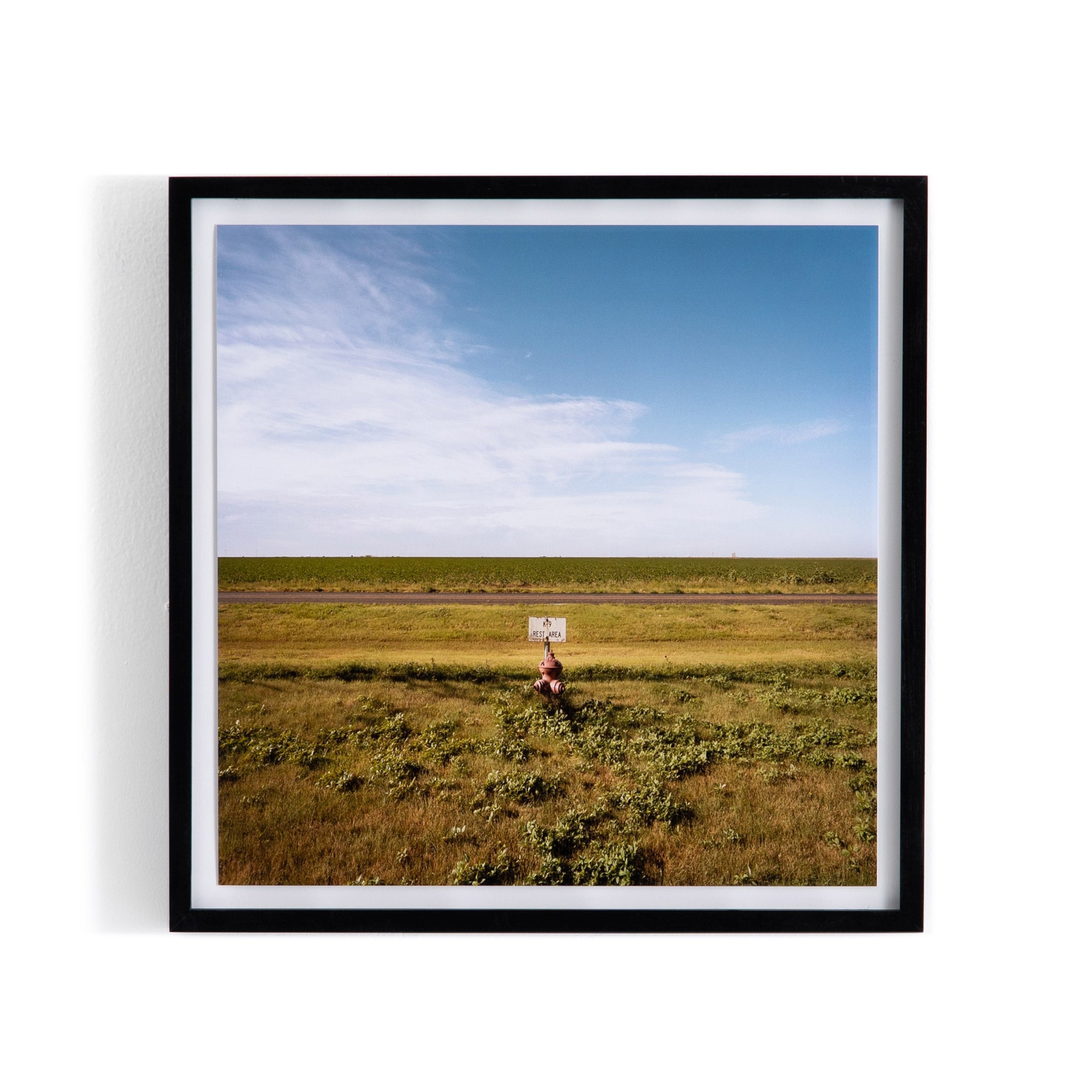 Wall Art Accessory Preview Inc R Ford Pet Hydrant Tx Color Photo Framed 24x24x2 5