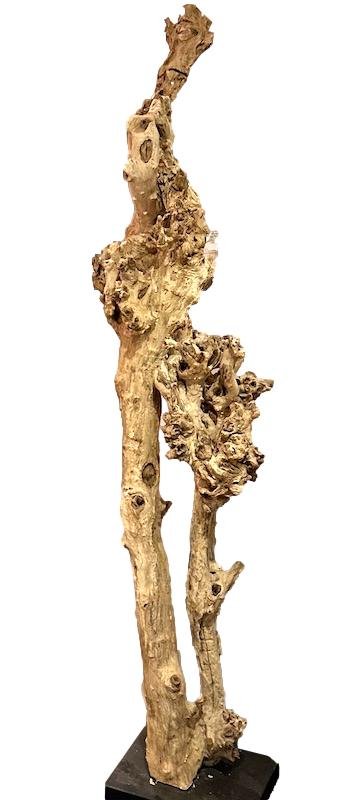 Tall Abstract Burl Wood Sculpture 17x16x72h - BOLG015