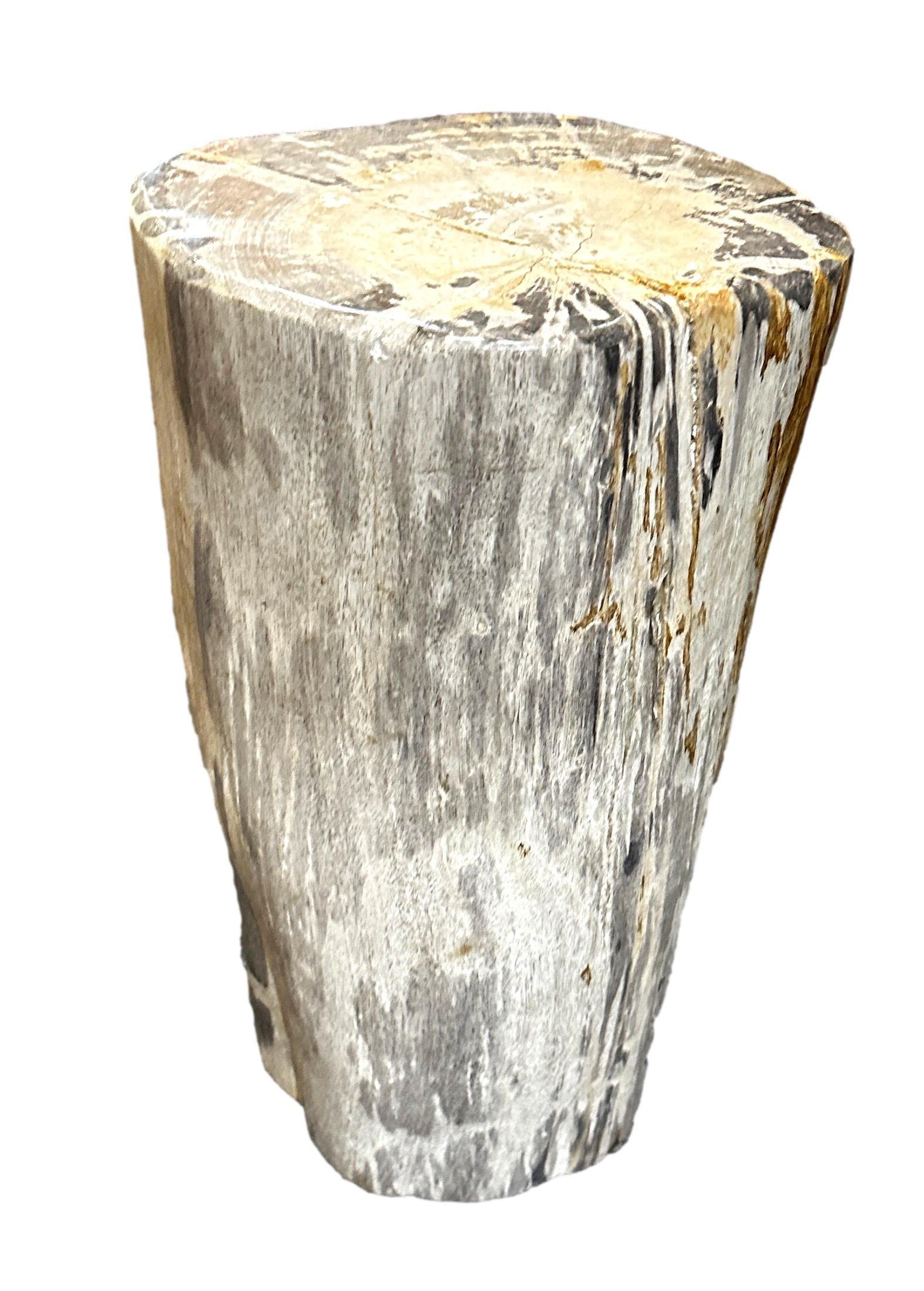 Petrified Wood Stool 10x8x17.5h - VO372