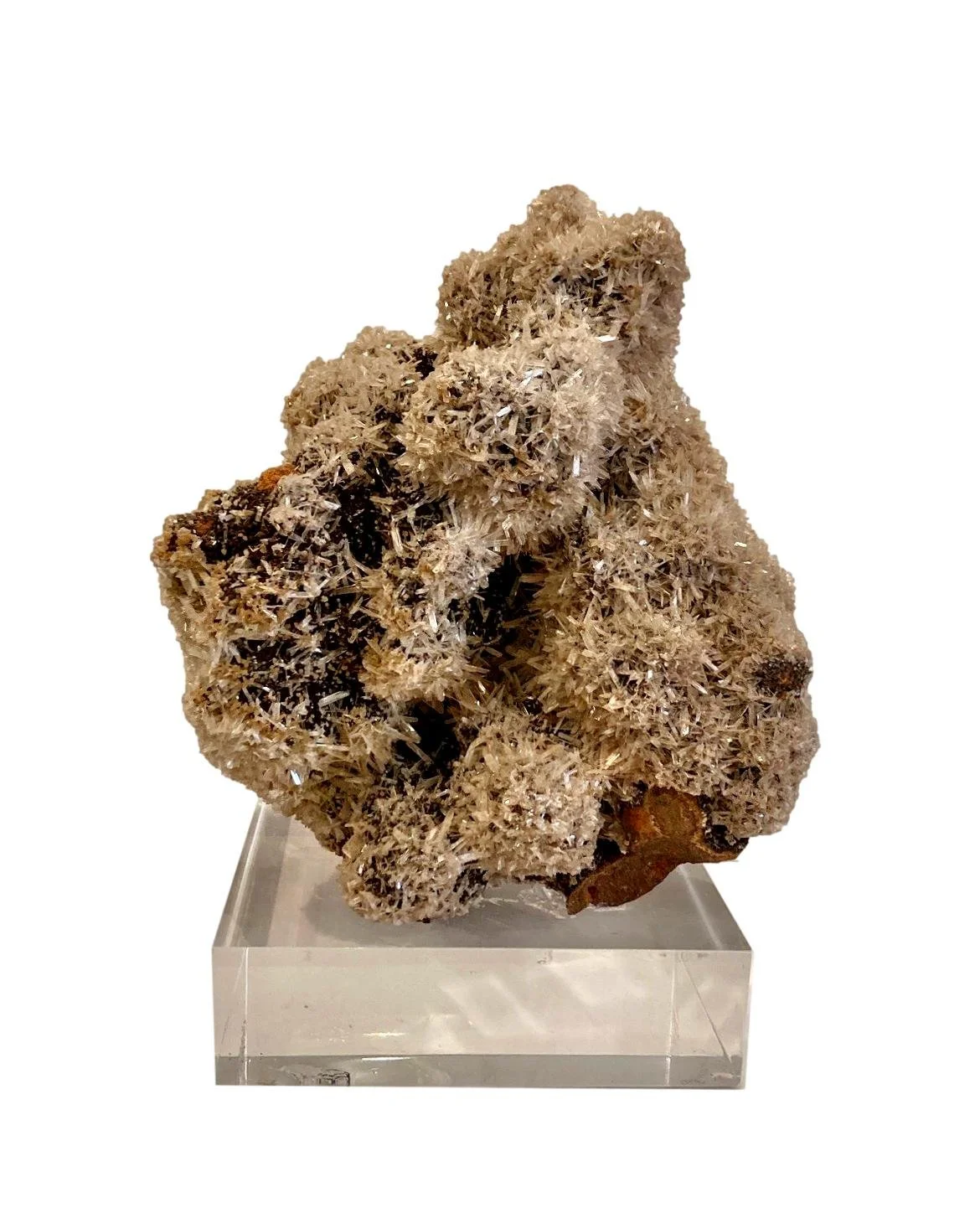 Wolfanite on Acrylic Base 6x6x8.5h - FOS500AA