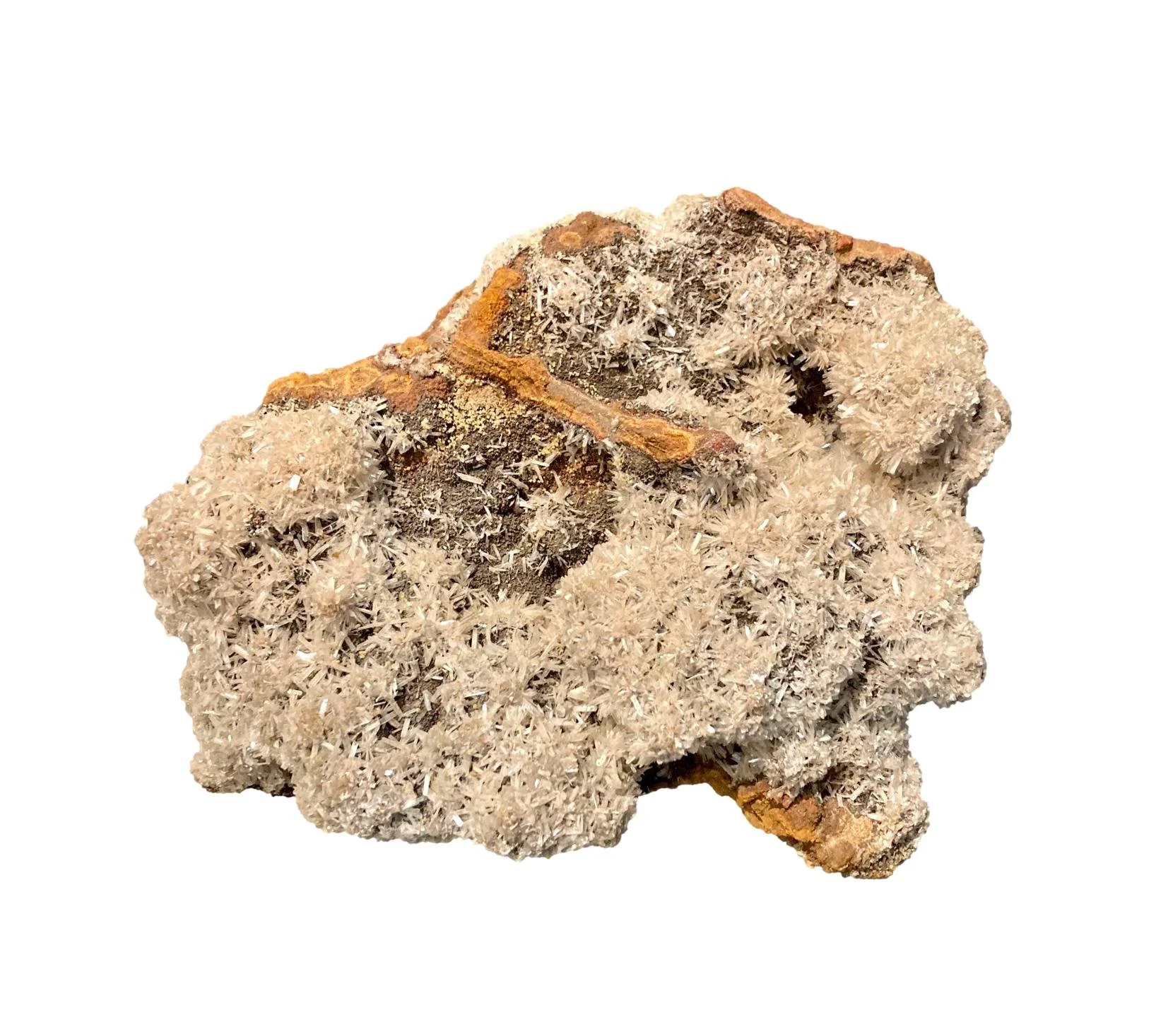 Wolfanite FOS497