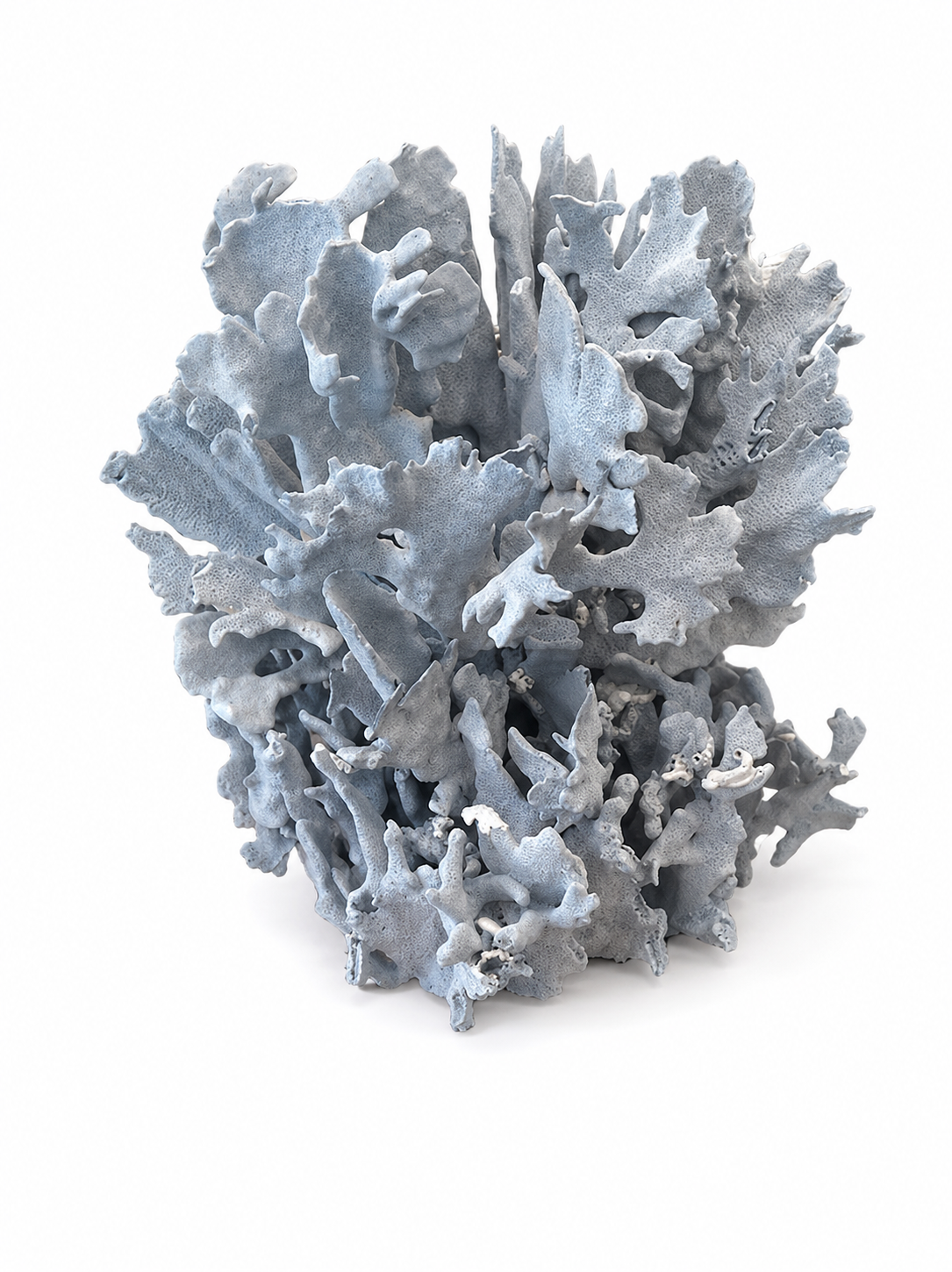  Large Blue Coral   16×10×17h - T853 