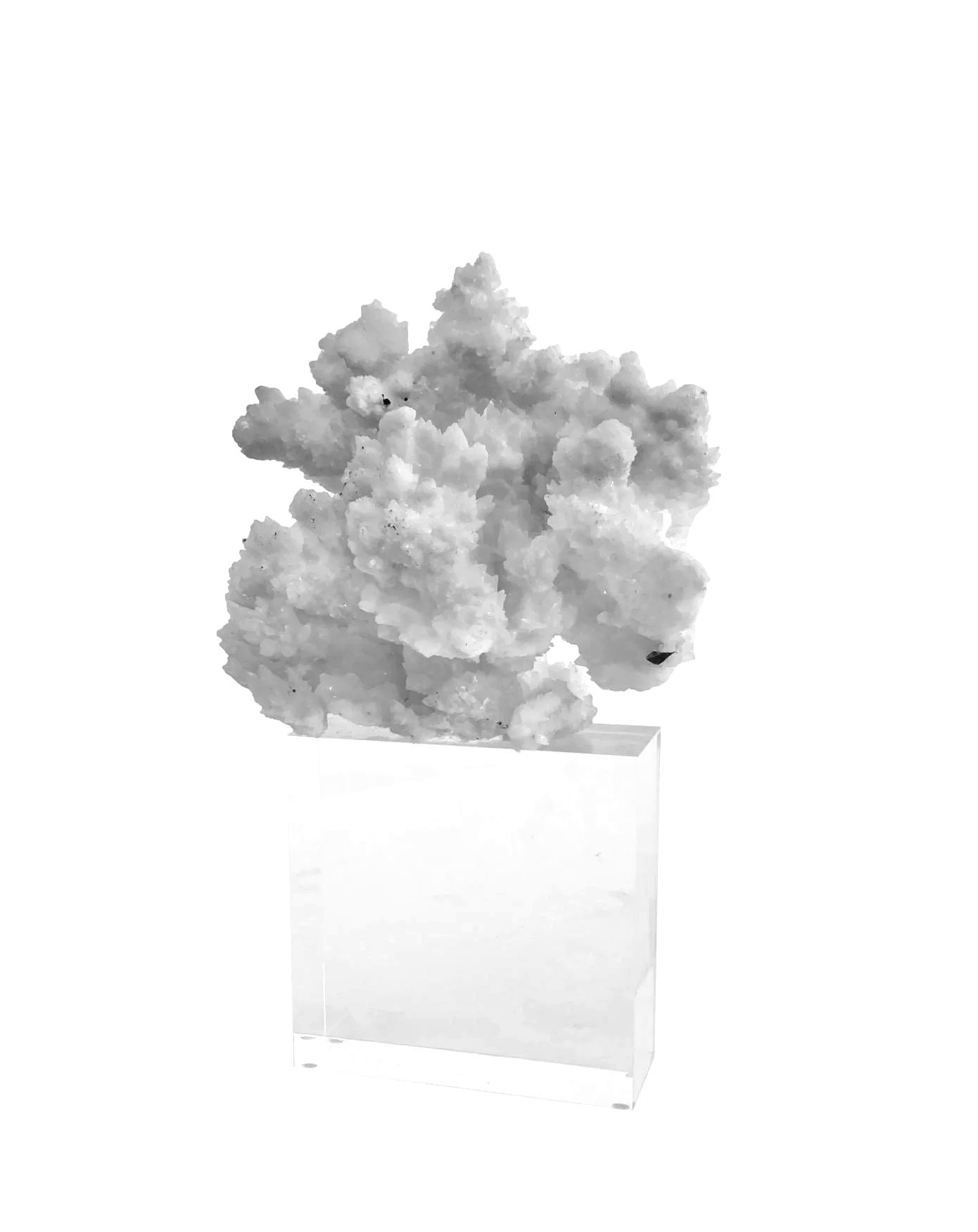  Aragonite/Acrylic Base   7x5x12h - FOS810AA 