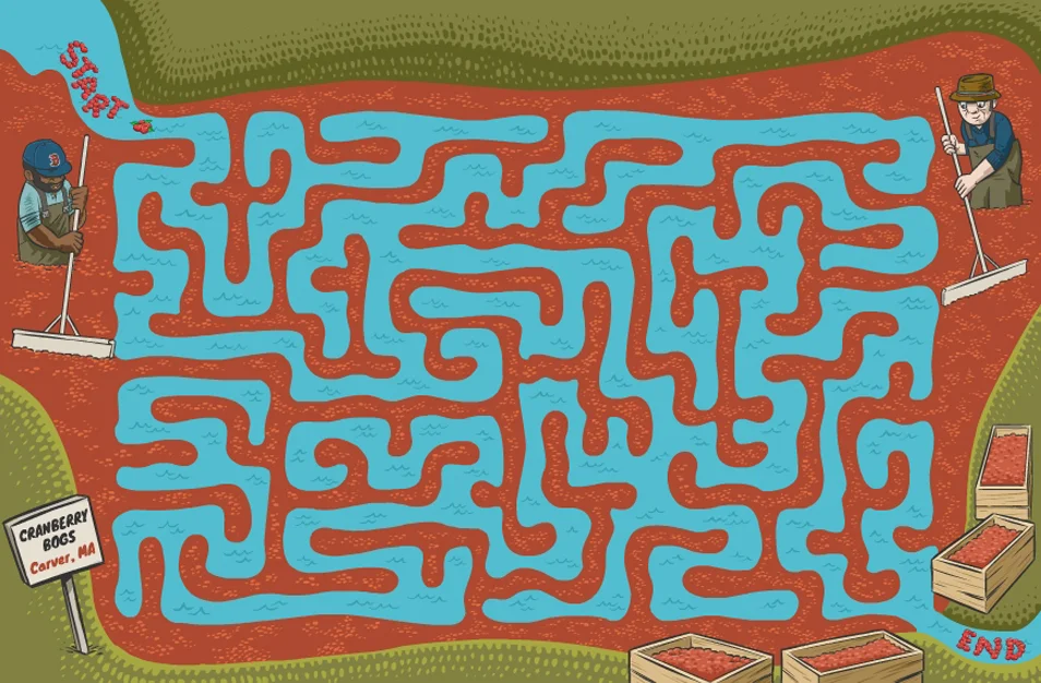 Highlights Maze Puzzle