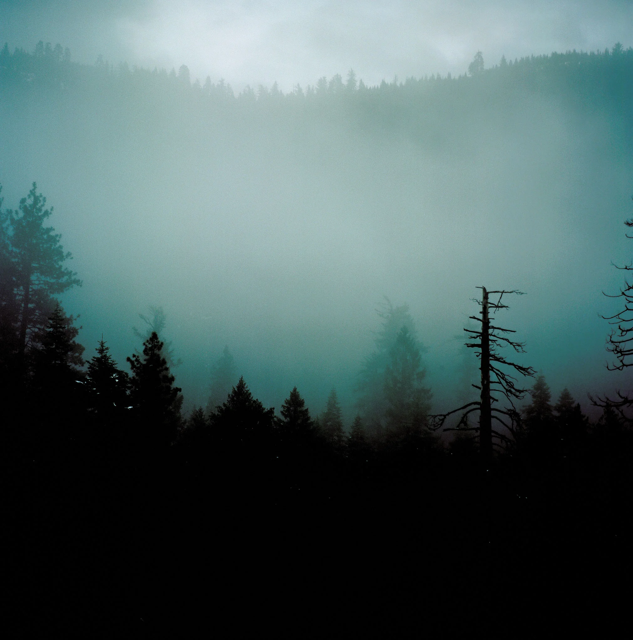 4724_01--WEB.jpg