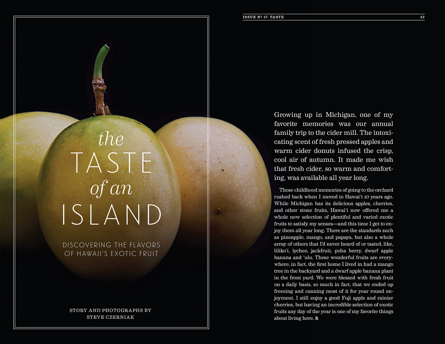 Remedy Quarterly Issue No. 17: Taste © 2013-2017 Steve Czerniak