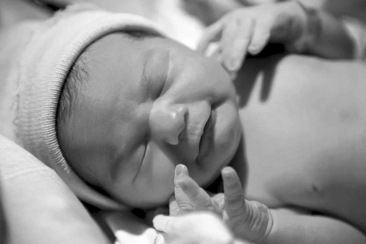 2010-11-14 at 16-40-59 - _mg_8366.jpg