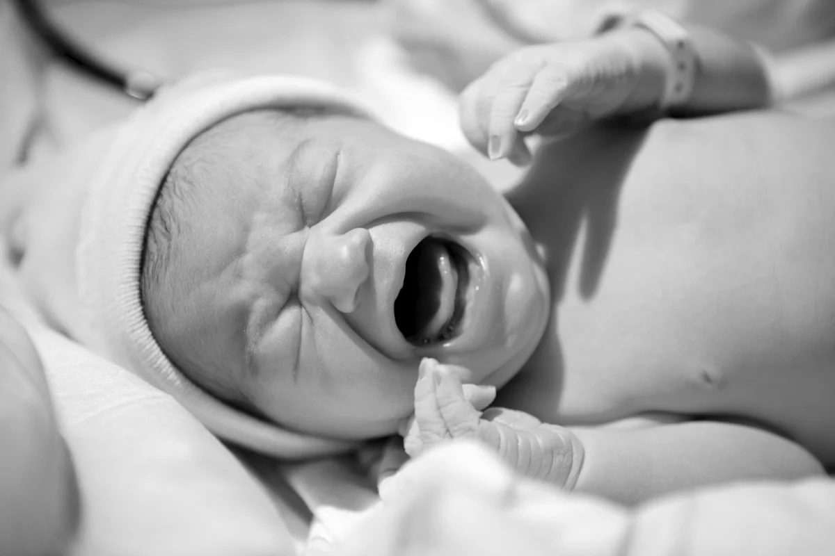 2010-11-14 at 16-40-38 - _mg_8363.jpg