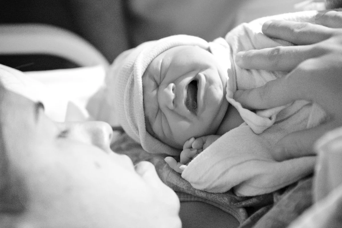 2010-11-14 at 16-12-54 - _mg_8319.jpg