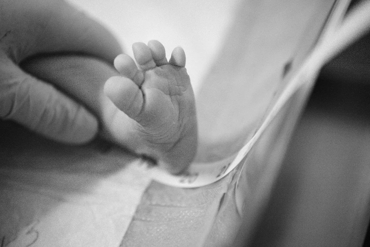 2010-11-14 at 16-16-31 - _mg_8331.jpg