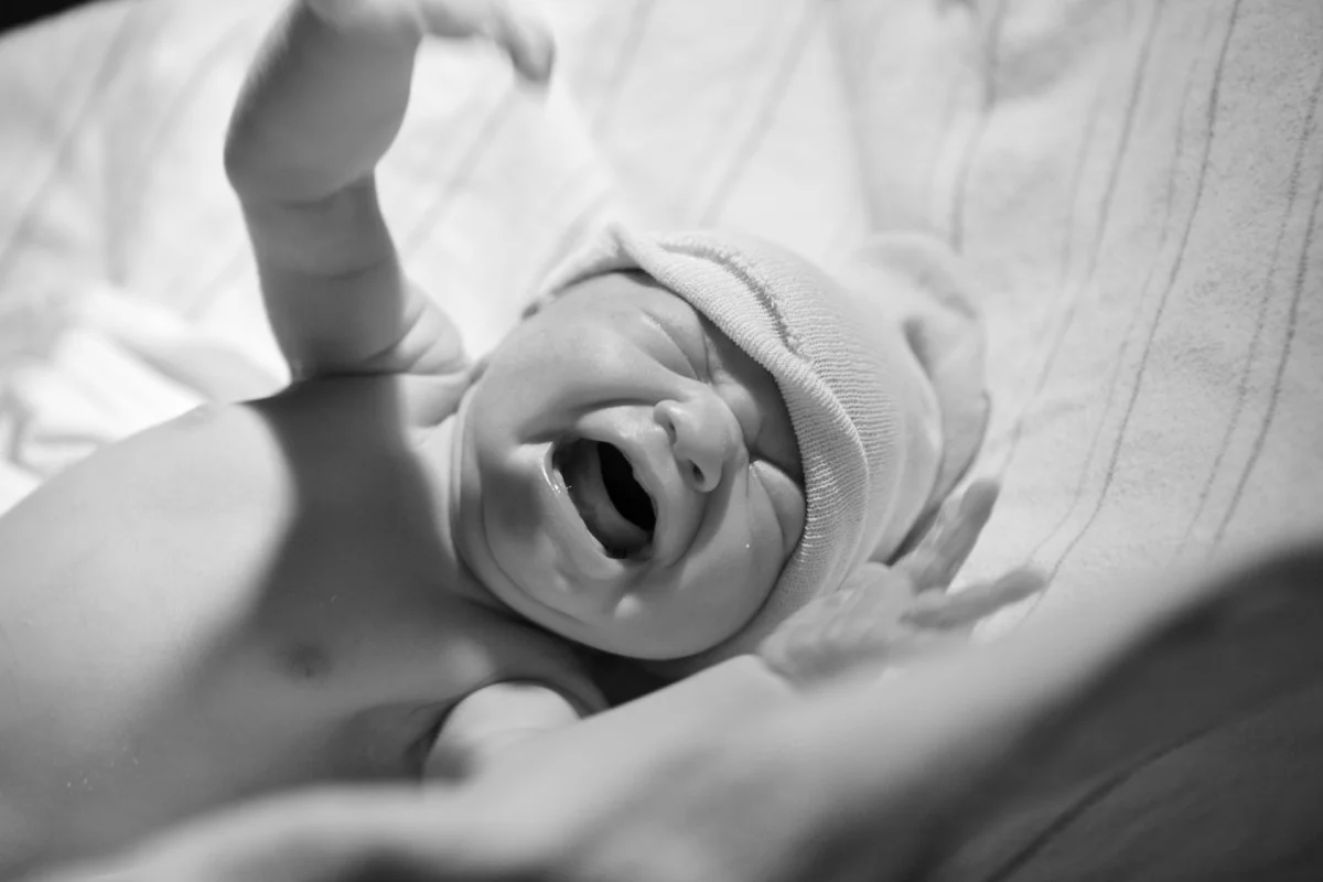 2010-11-14 at 16-15-01 - _mg_8323.jpg