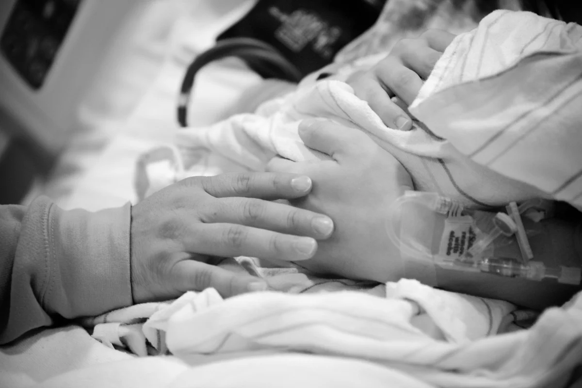 2010-11-14 at 16-59-49 - _mg_8388.jpg