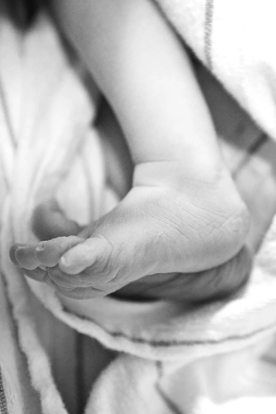 2010-11-14 at 16-56-15 - _mg_8386.jpg