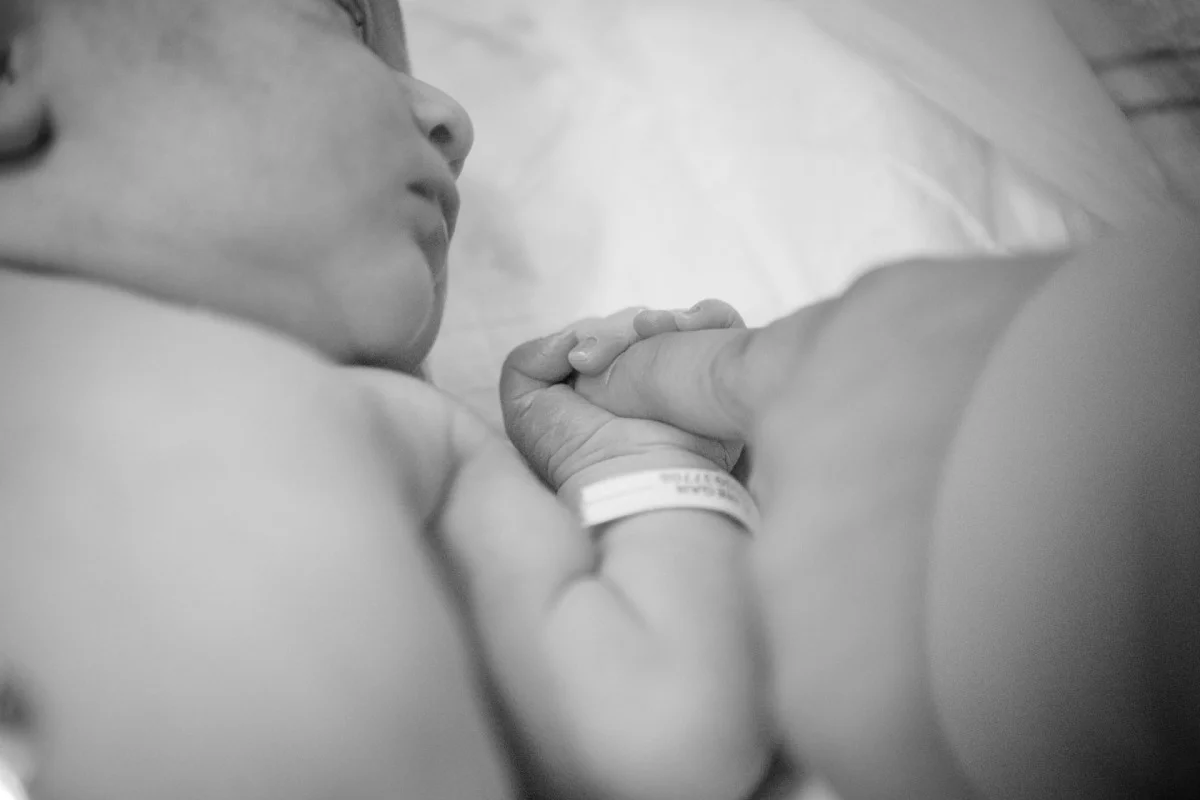 2010-11-14 at 17-37-51 - _mg_8451.jpg