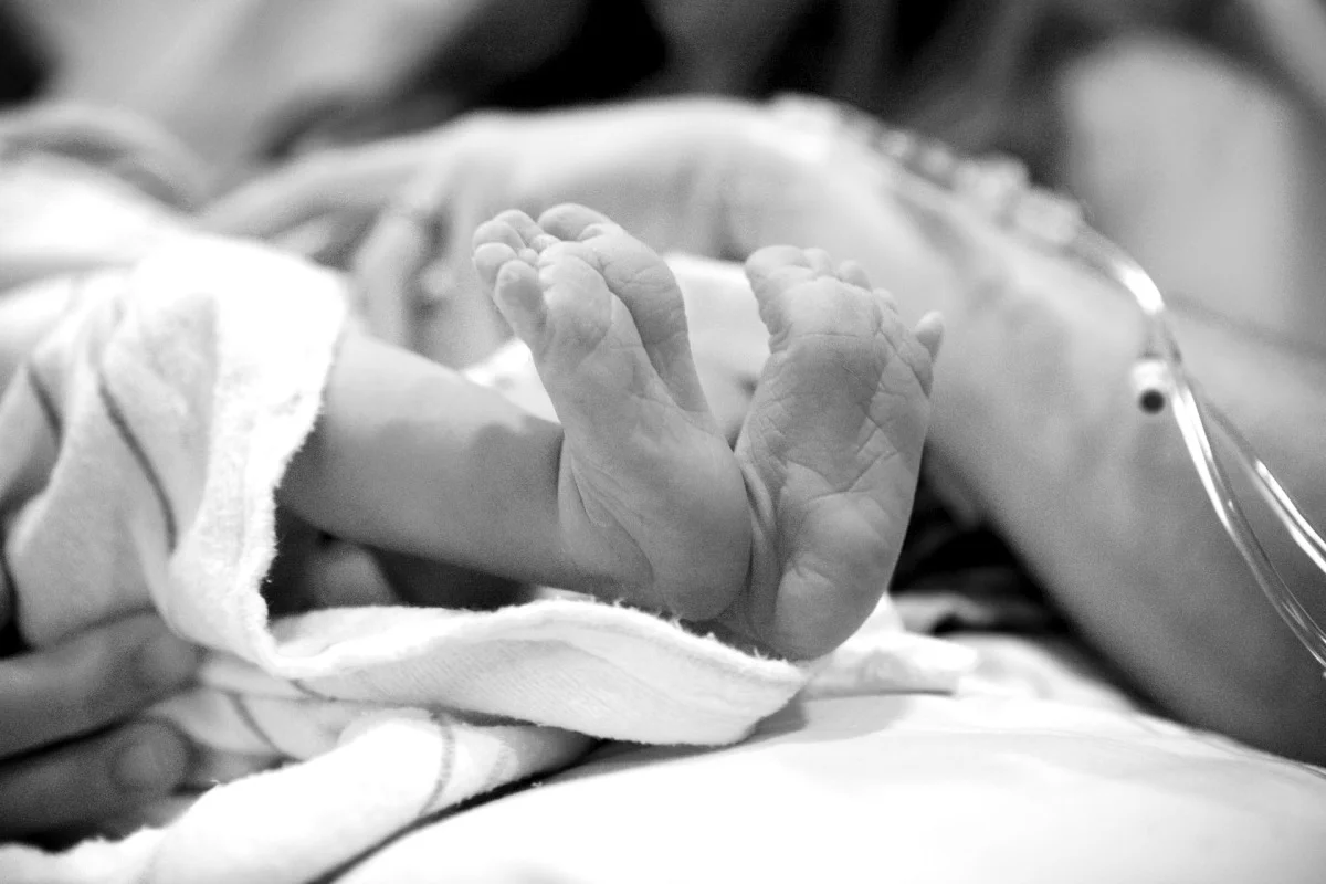 2010-11-14 at 17-07-41 - _mg_8394.jpg