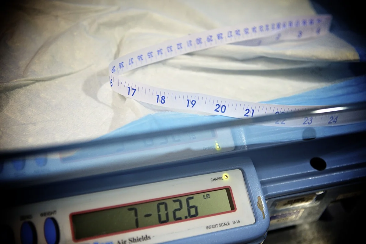 2010-11-14 at 17-11-11 - _mg_8406.jpg