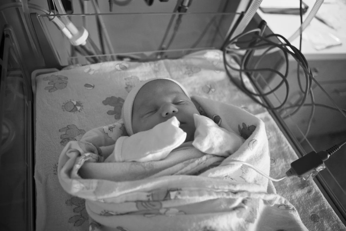 2010-07-14 at 13-42-19 - img_3638.jpg