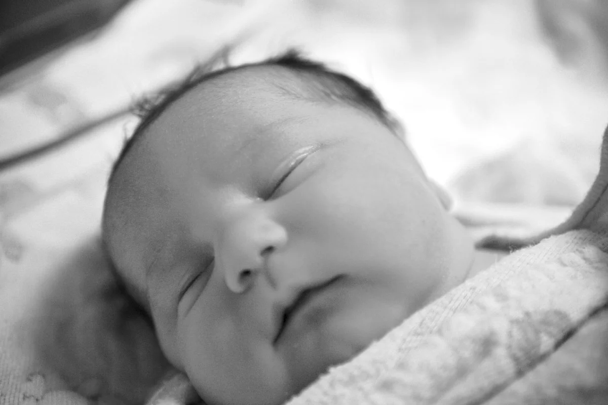 2010-07-14 at 15-28-44 - img_3645.jpg