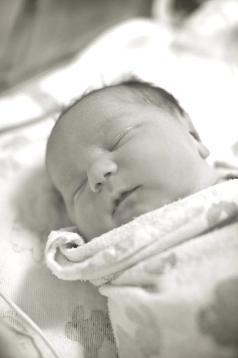 2010-07-14 at 15-32-50 - img_3650.jpg