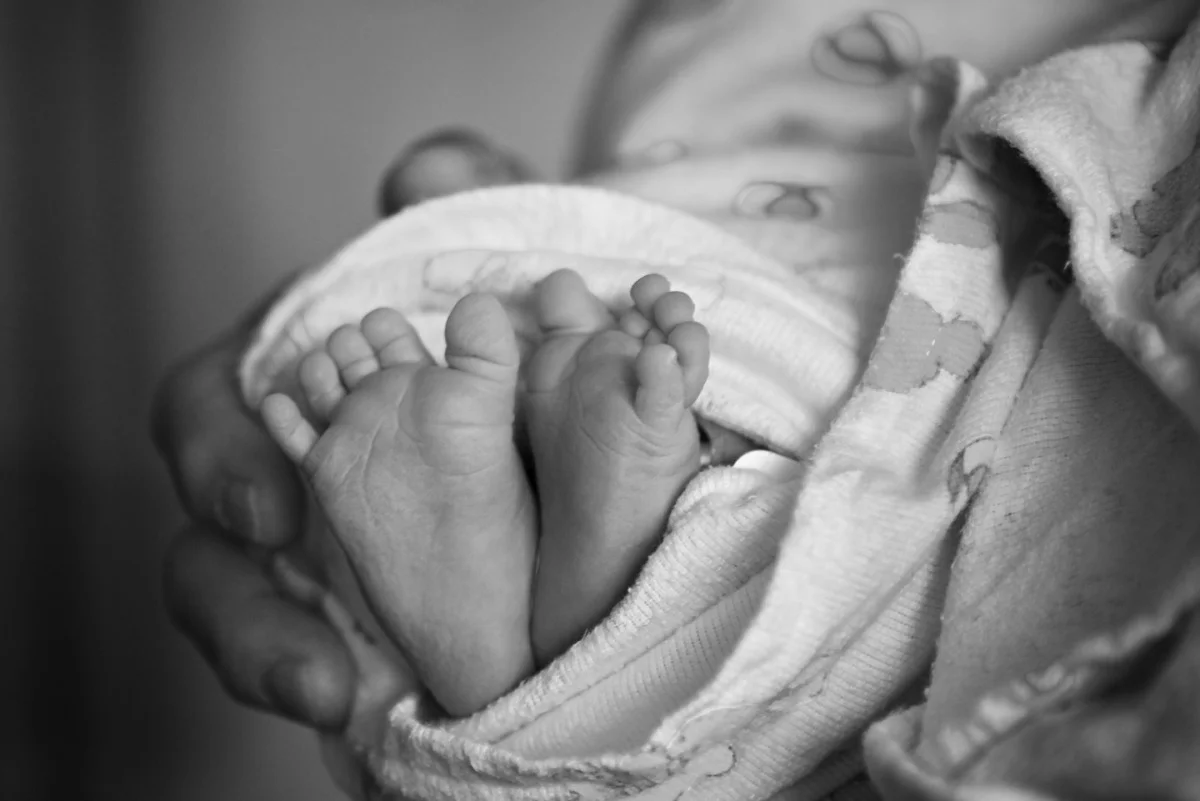 2010-07-14 at 13-26-29 - img_3621.jpg