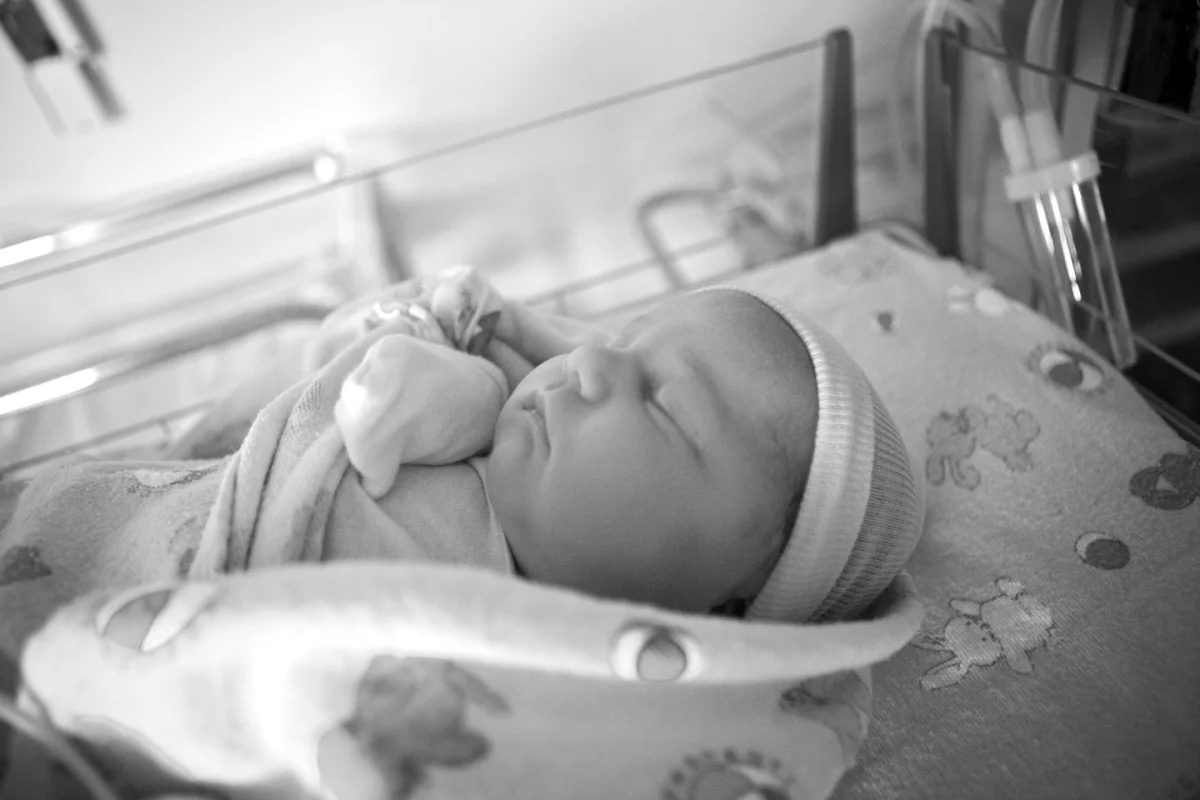 2010-07-14 at 13-32-28 - img_3626.jpg