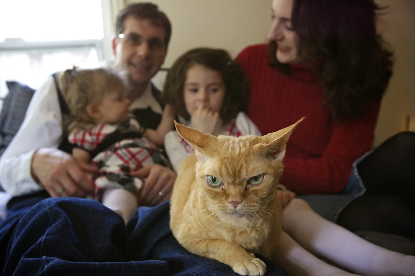 2010-12-24 at 13-01-00 - _mg_0074.jpg