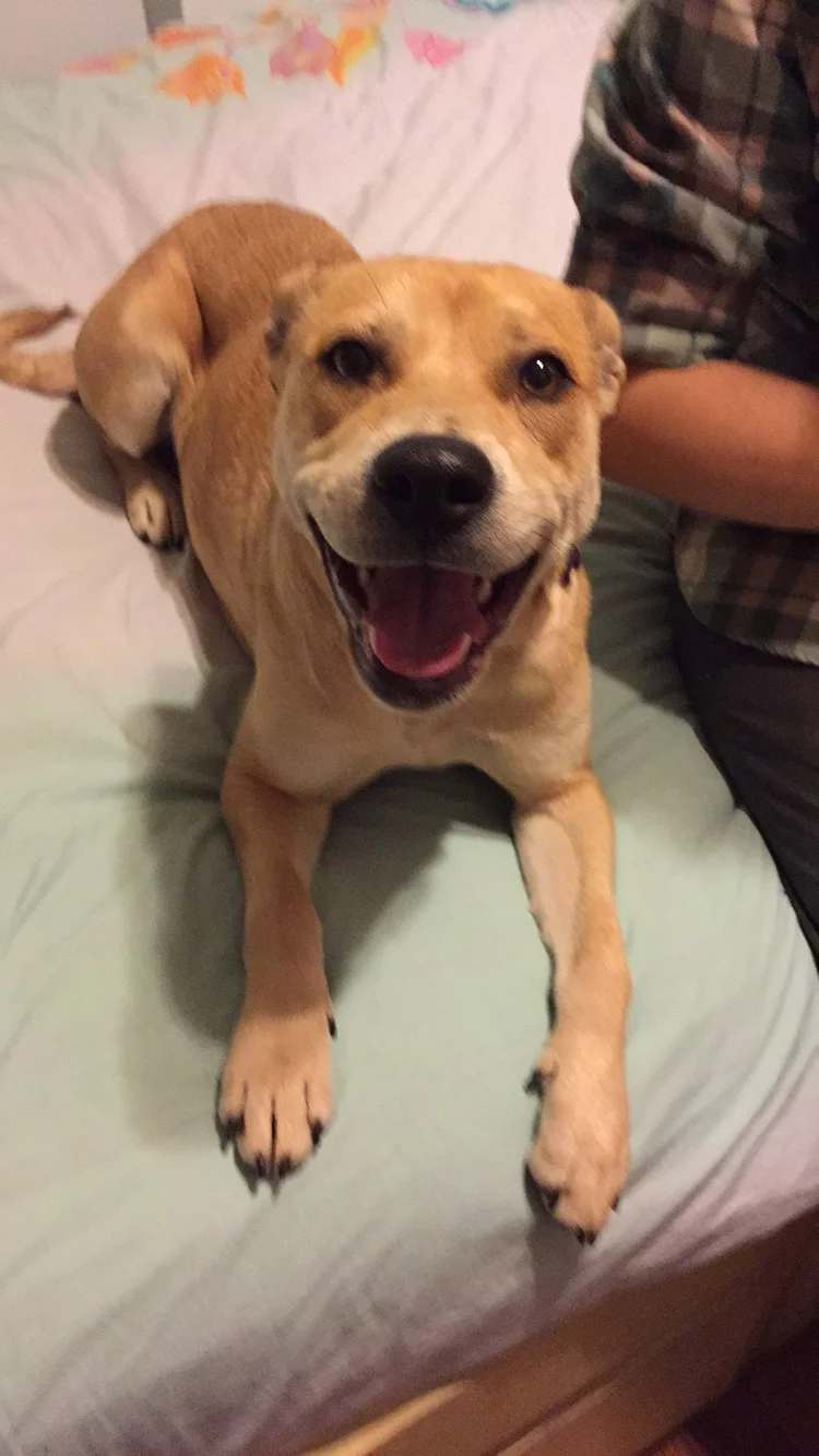 The Difference a Day can Make