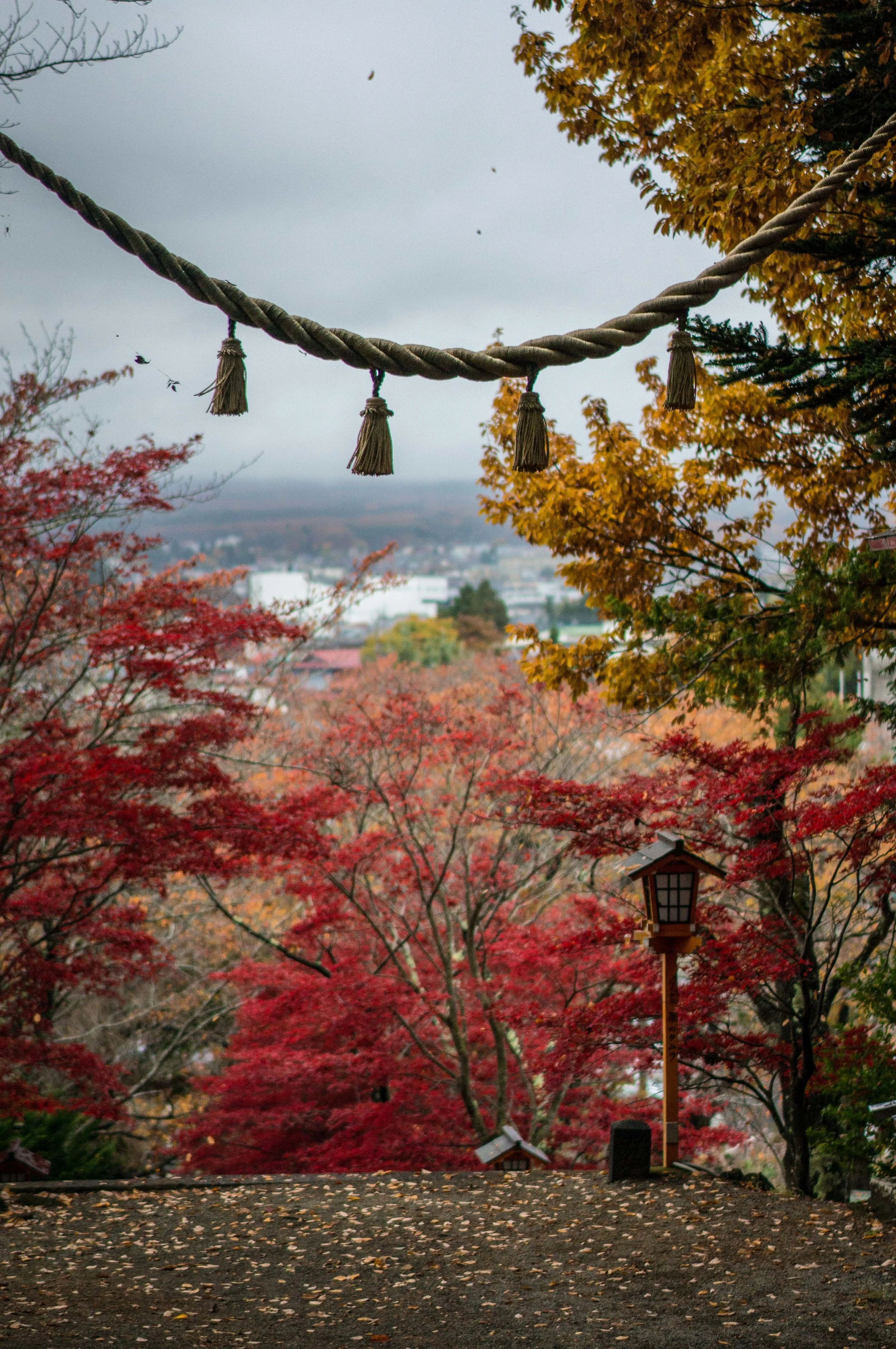 japan-6.jpg
