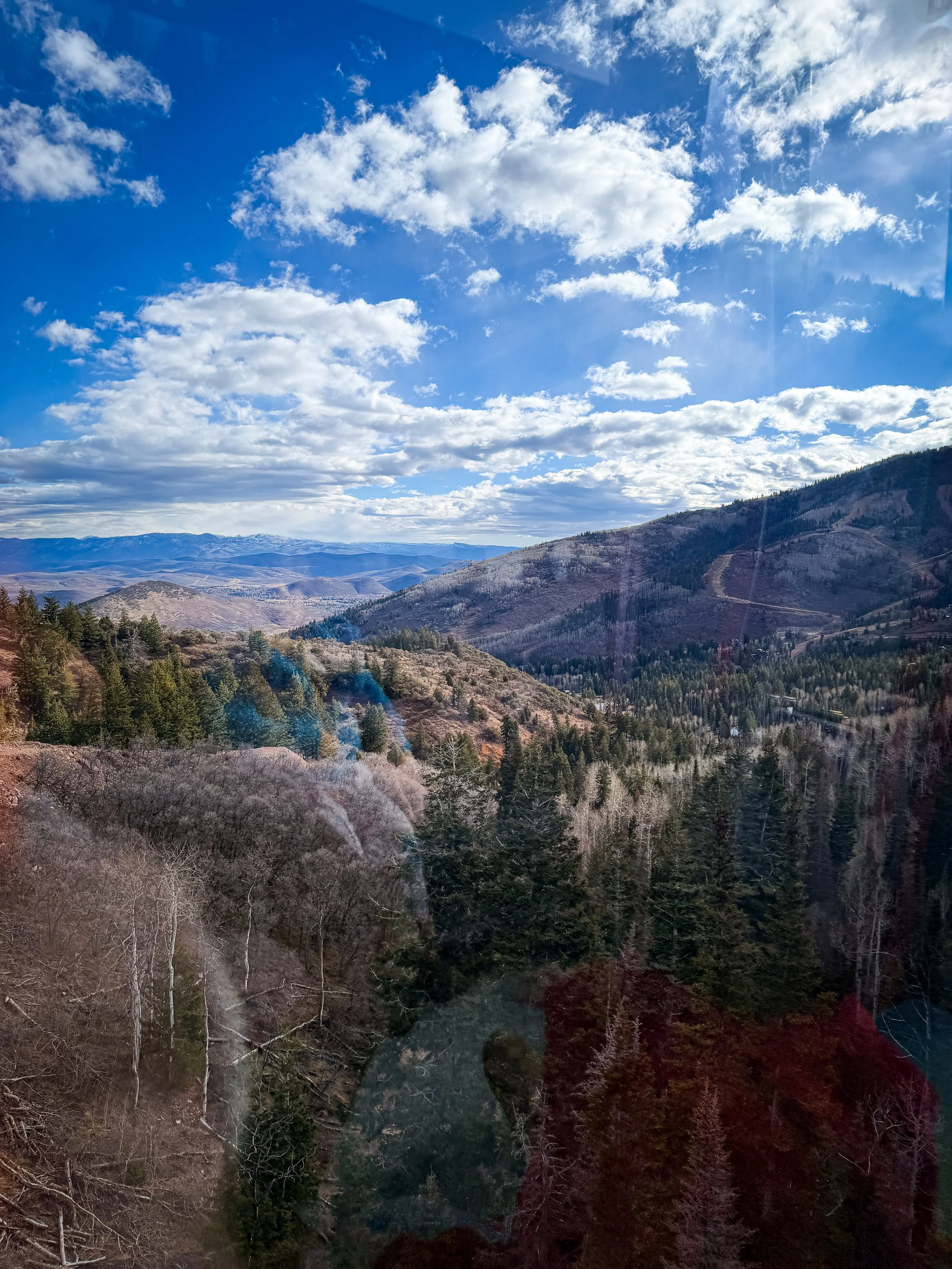 IMG_1466.jpg