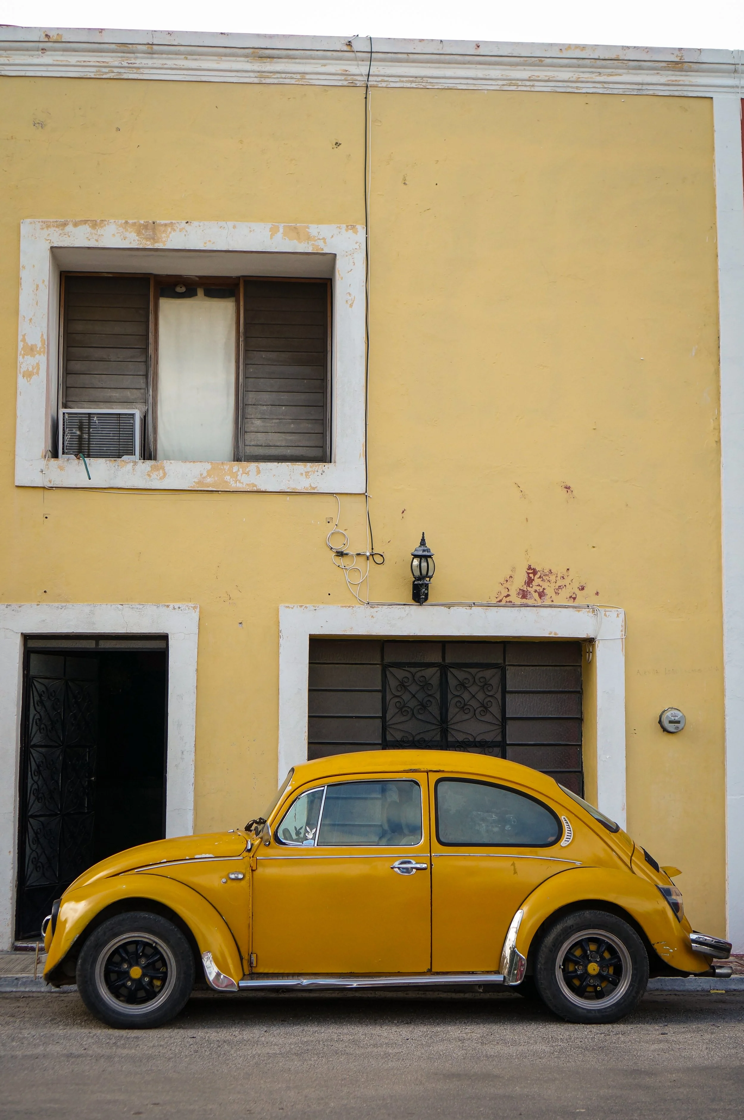 DSC08912.jpg