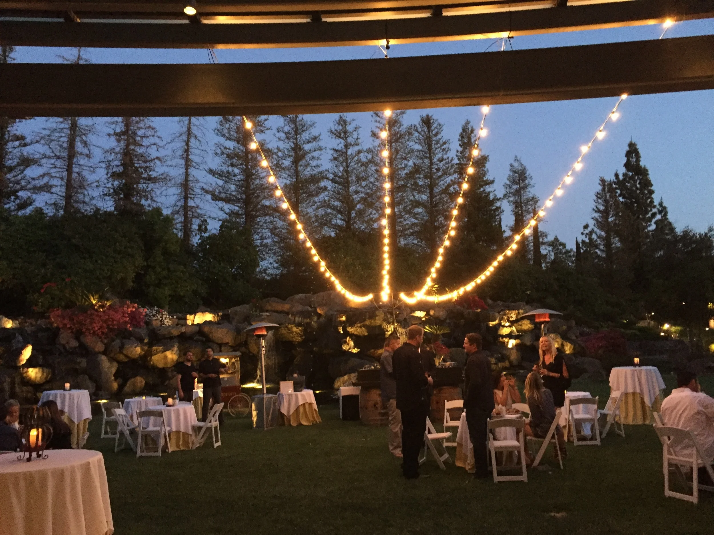 MOBILE DJs BISTRO LIGHTING.JPG