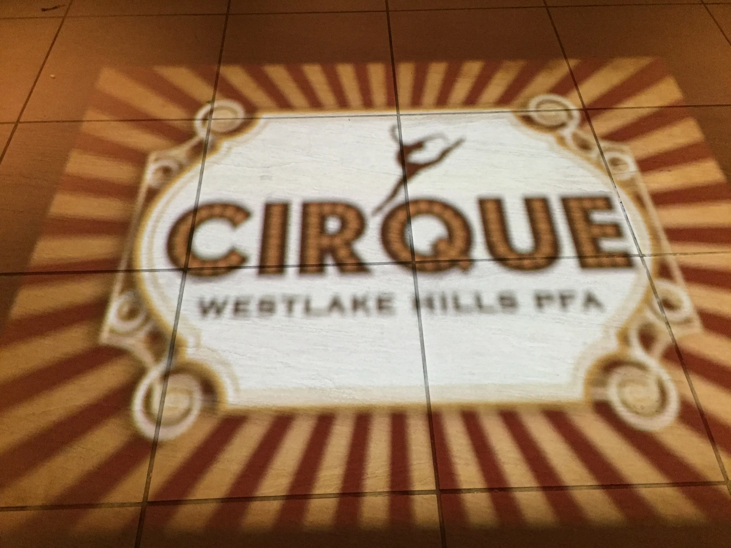 MOBILE DJs CUSTOM IMAGE PROJECTION.JPG