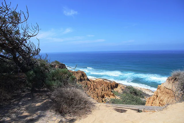 Hiking Torrey Pines State Natural Reserve