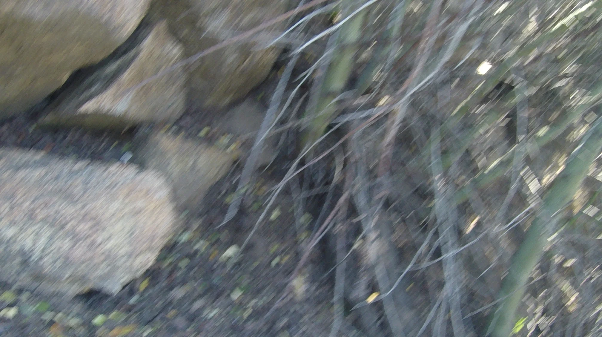 G2284003.JPG