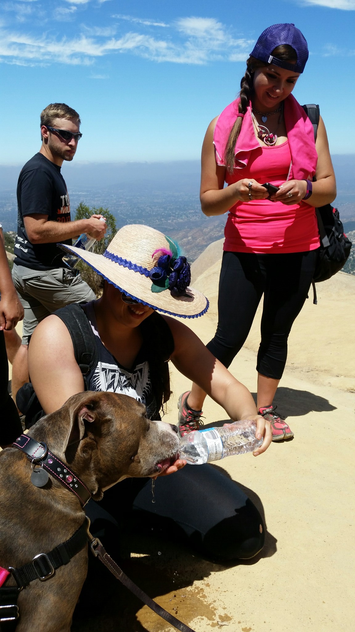 Dog drinking on trail