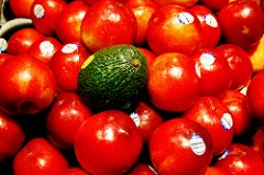 Eating Habits and Foam Rolling