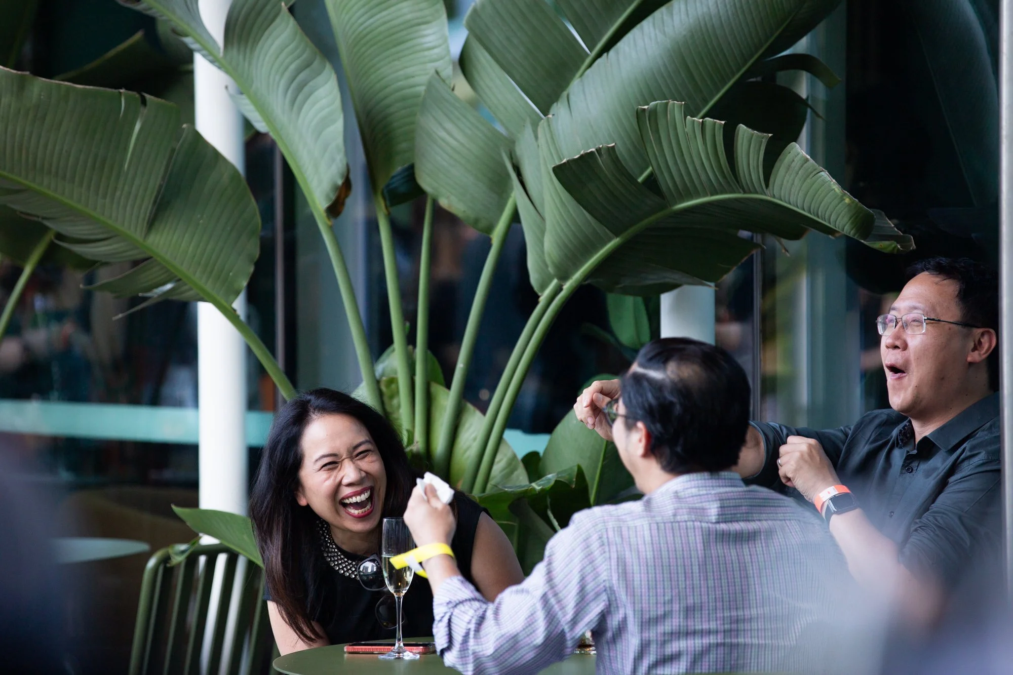 Three people sitting at a table outdoors, laughing and talking with each other, with large tropical leaves in the background.