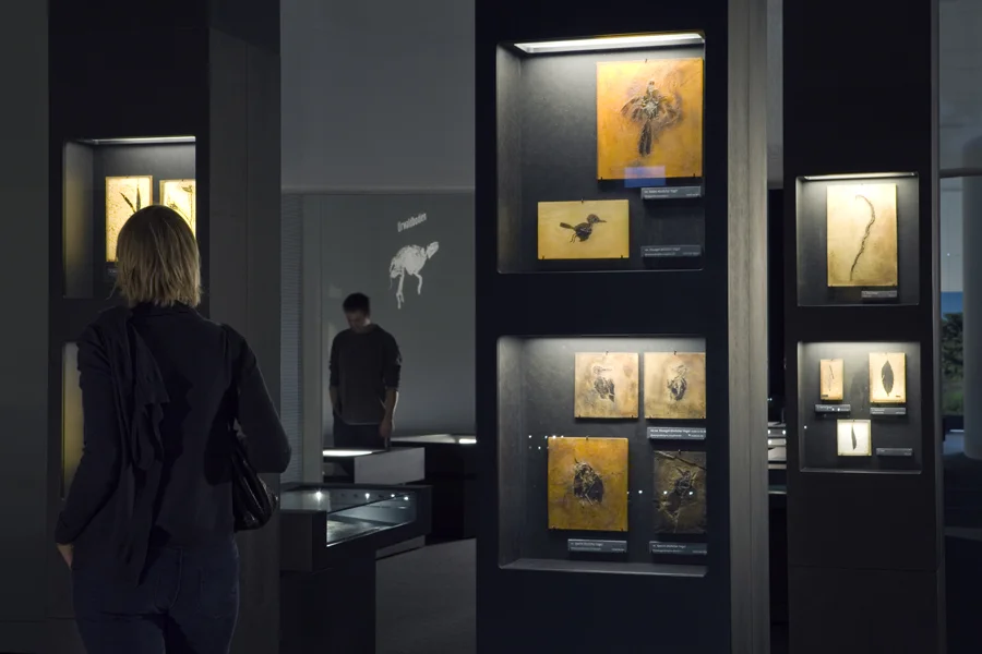 Blick-in-Ausstellung2(c)U_Sprecher_A_Cortellini.jpg