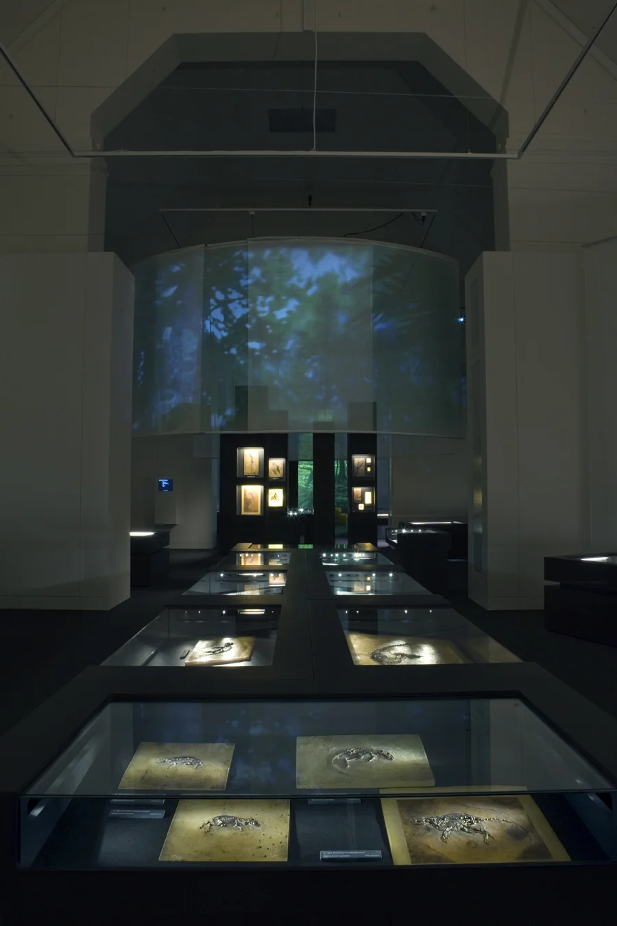 Blick-in-Ausstellung1(c)U_Sprecher_A_Cortellini.jpg
