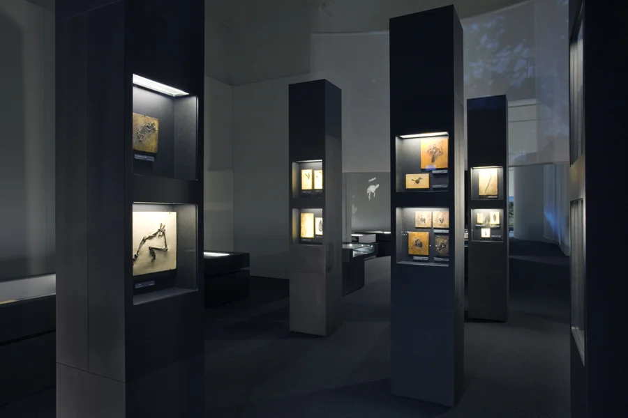 Blick-in-Ausstellung4(c)U_Sprecher&A_Cortellini.jpg