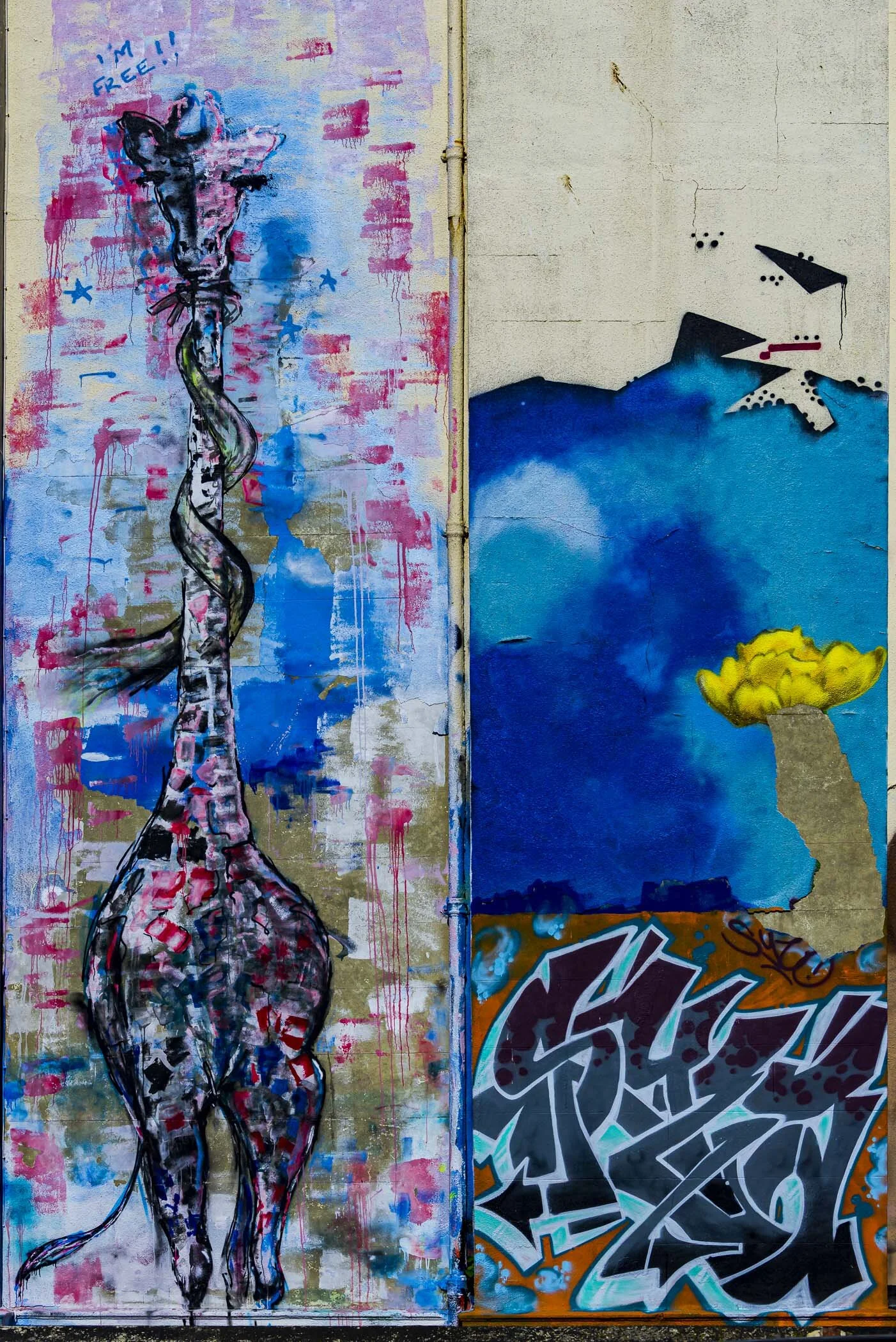 Art on the South Coast