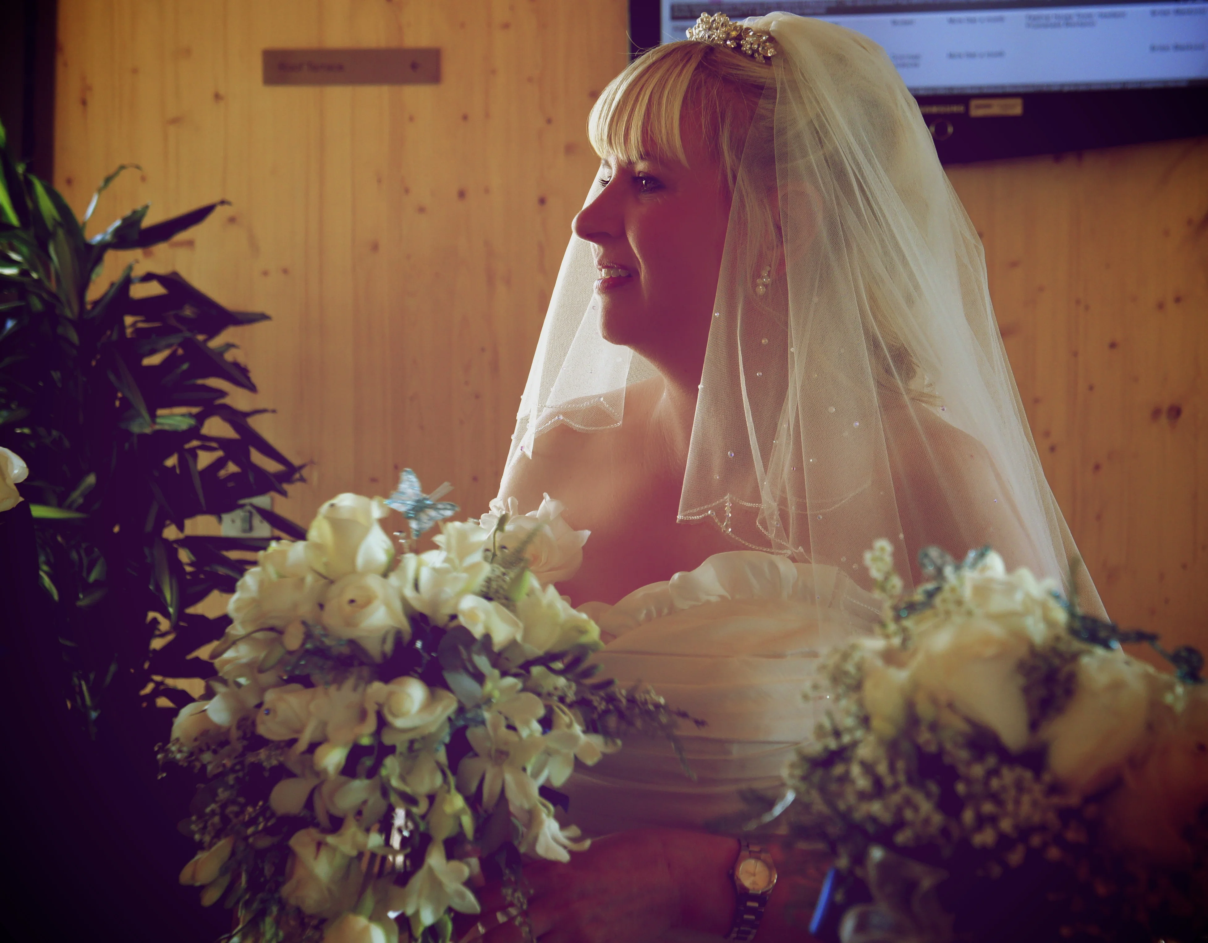 Photo of the Day - The Bride