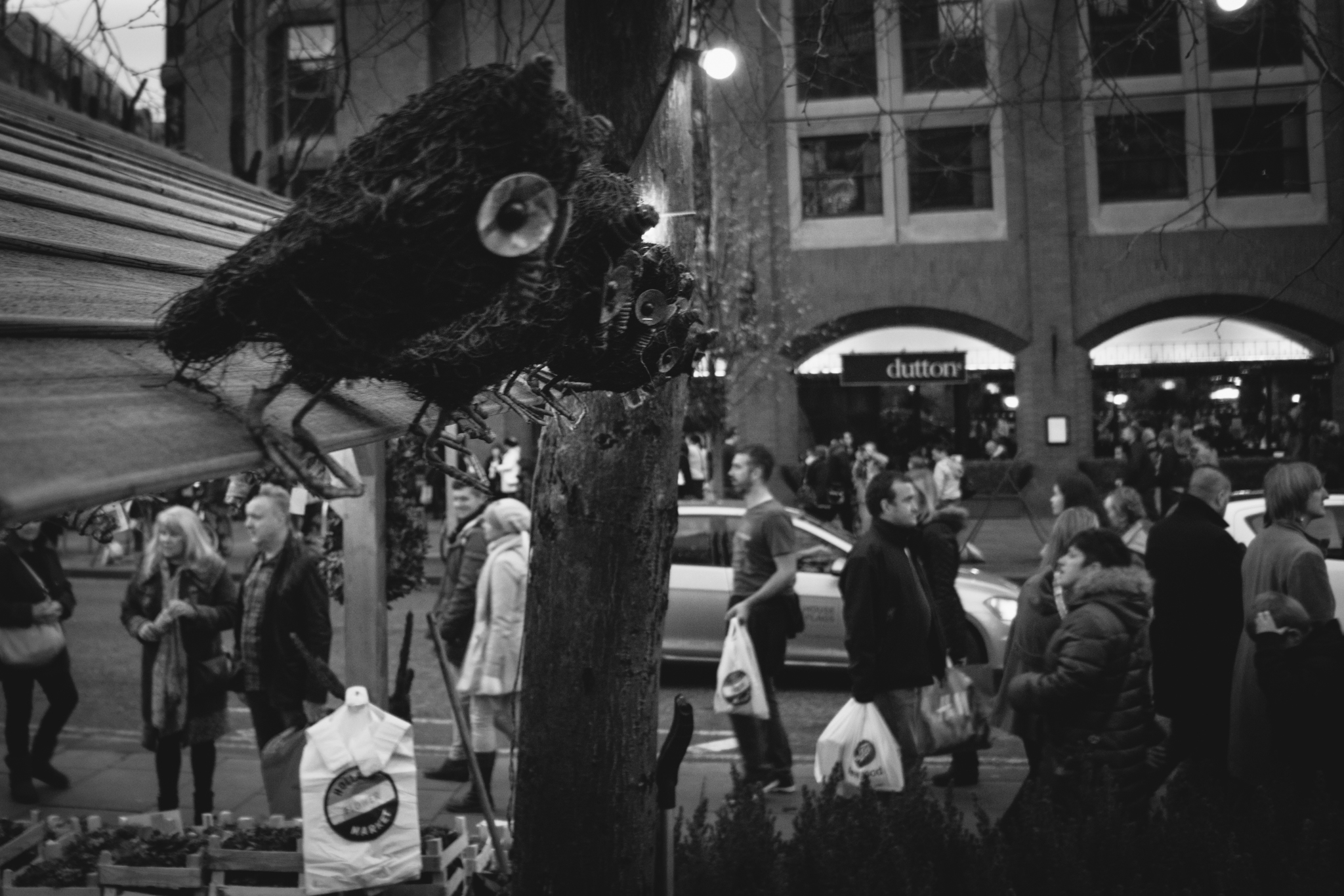 Owls watching over