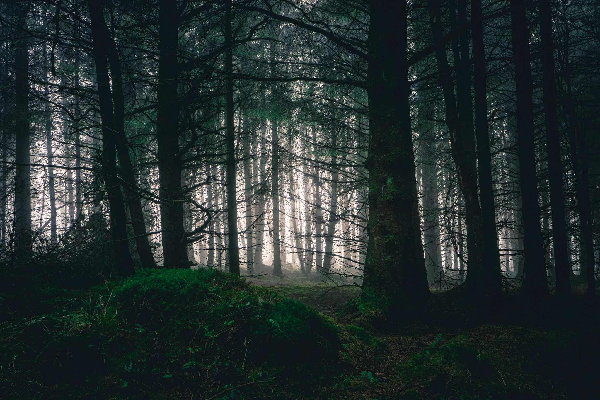 Longridge Fell Microadventure