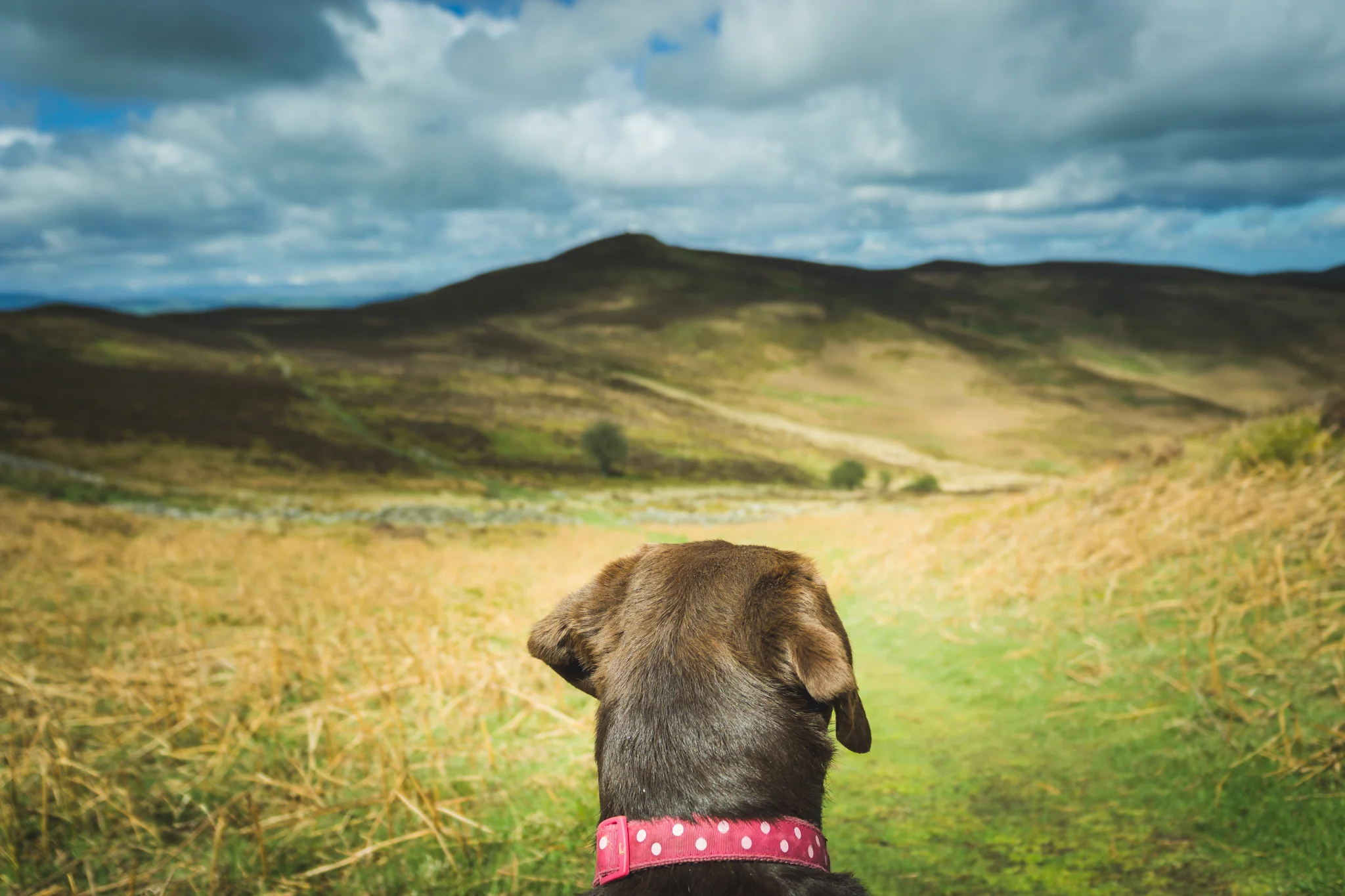 A wonder in the Welsh Hills
