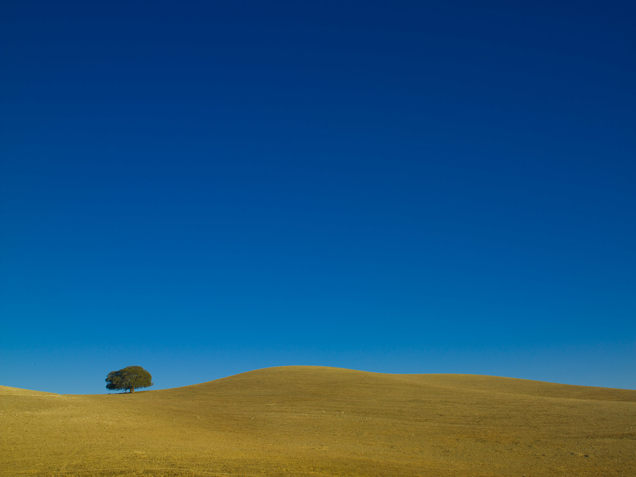 01_CF005557.jpg
